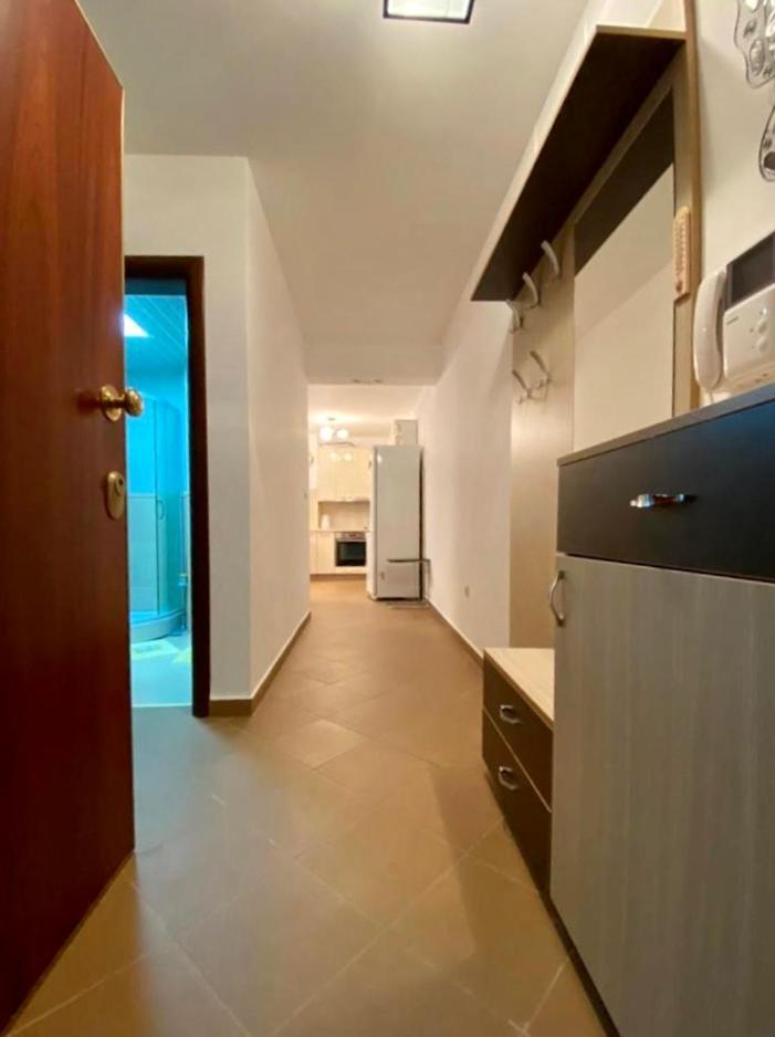 Apartment Liza Petrovac Dış mekan fotoğraf