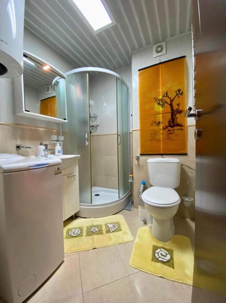 Apartment Liza Petrovac Dış mekan fotoğraf