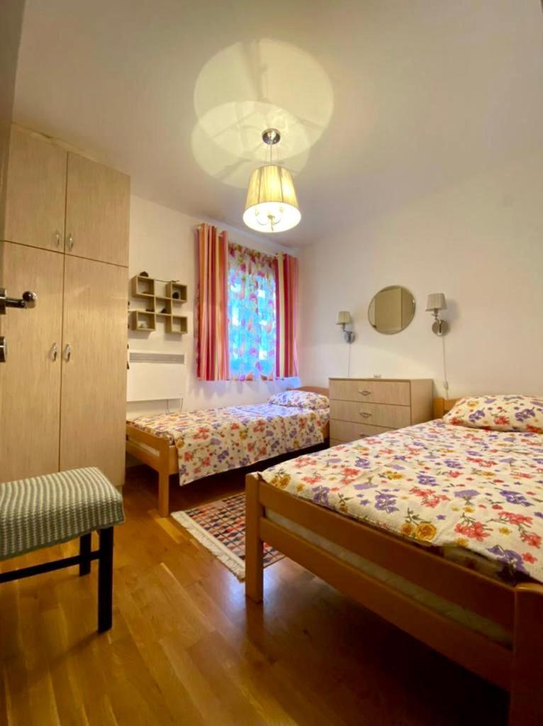 Apartment Liza Petrovac Dış mekan fotoğraf