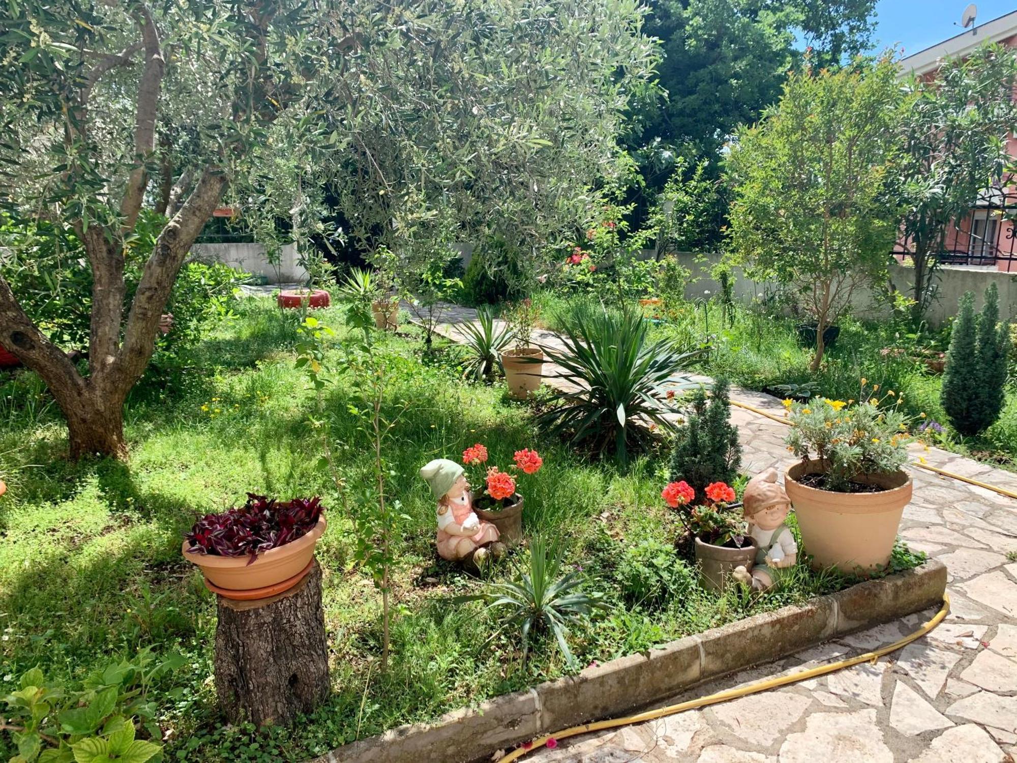 Apartment Liza Petrovac Dış mekan fotoğraf